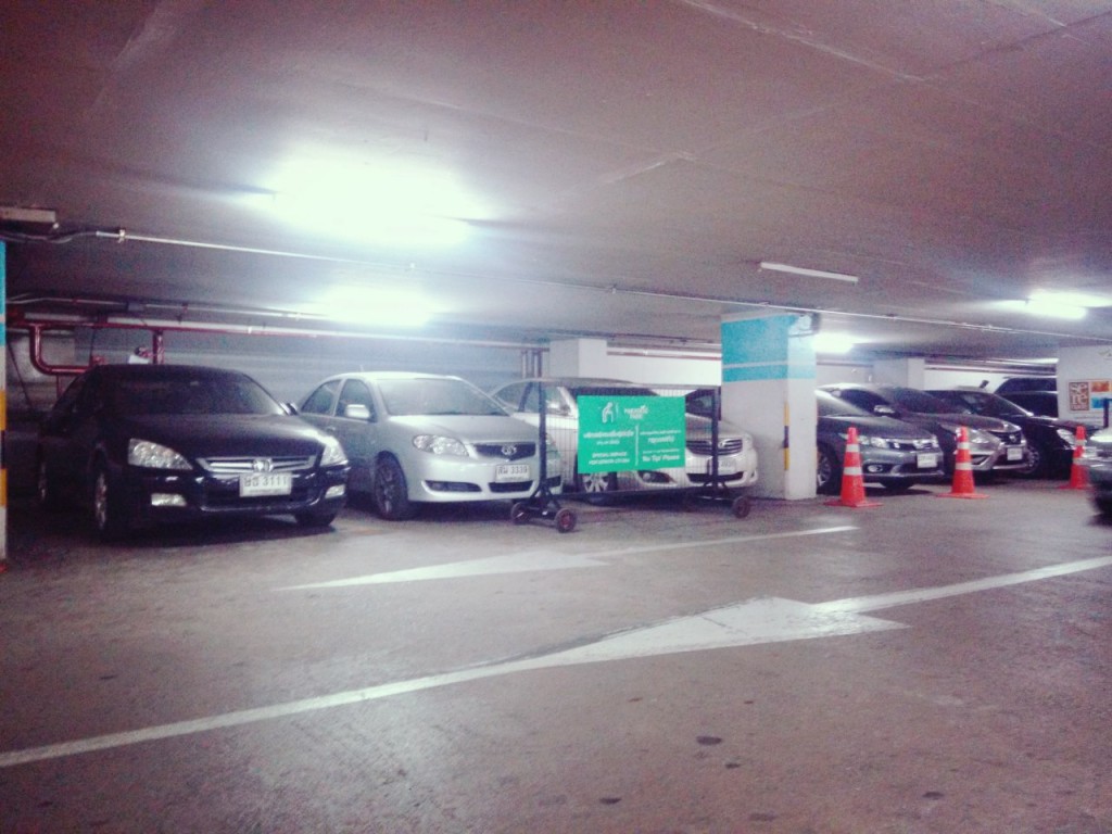 Disabled Car Parking - Paradisc Park 2
