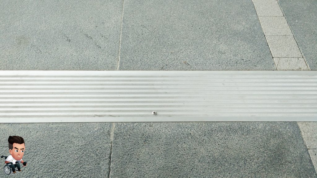 Purple-Line-P1-Survey-20160620104114